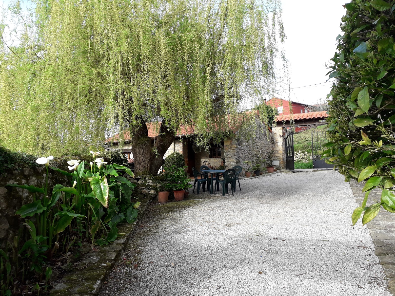 Apartamentos Fernando photo 6