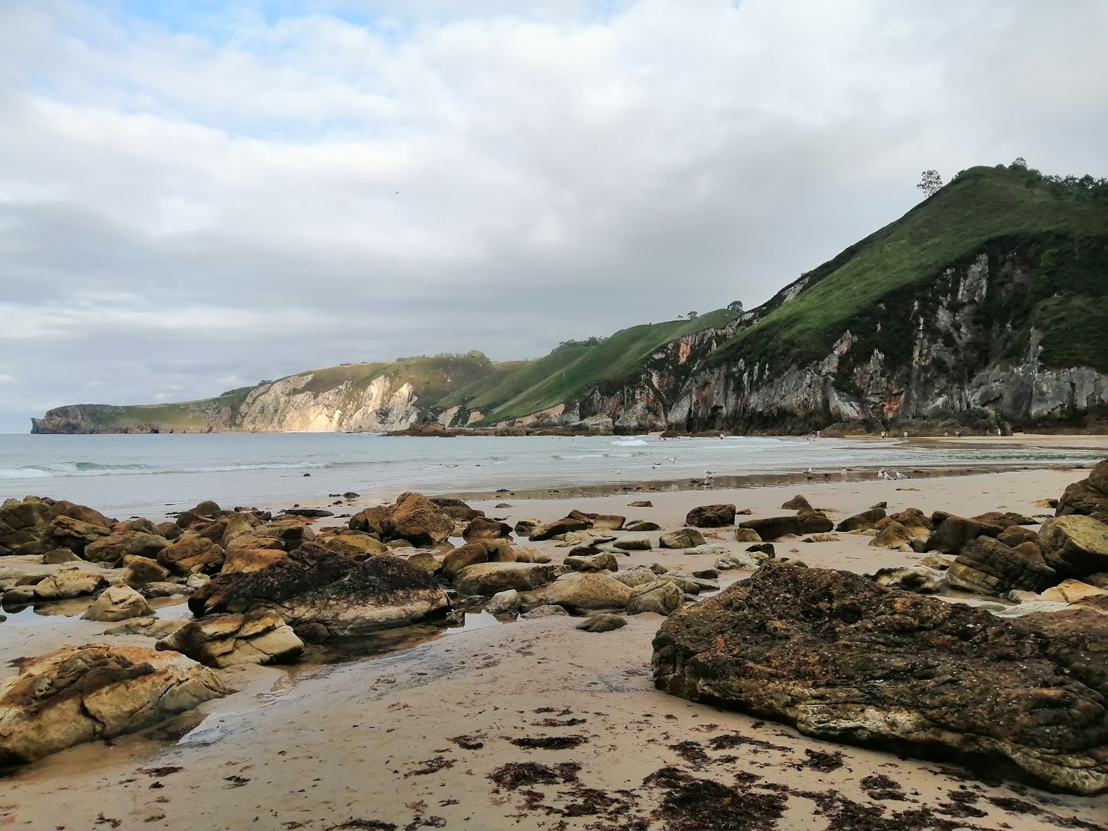 Apartamentos Playa La Franca photo 5