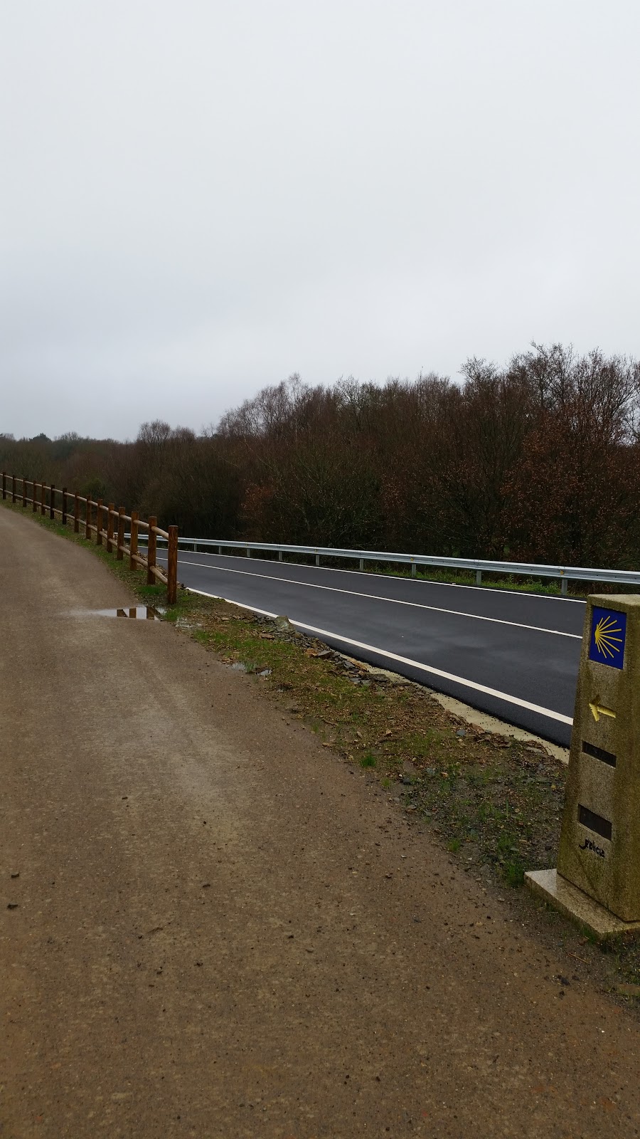 Casa Roxica Albergue y pensión photo 5