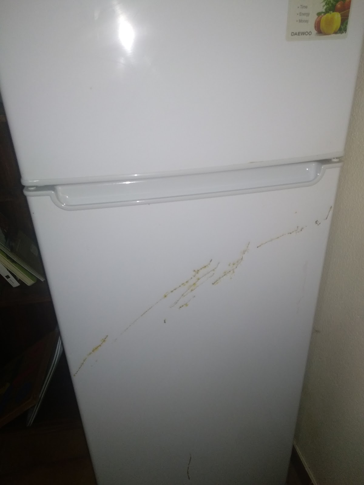 La Casa de Mamasita (Casa completa) photo 2