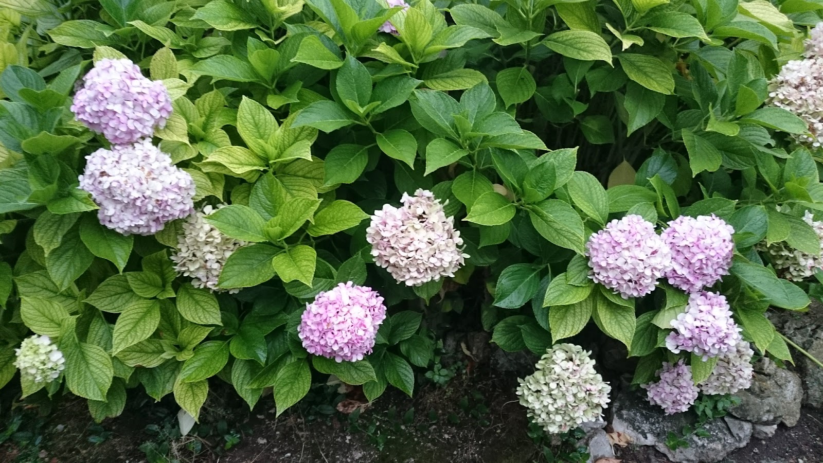 La Milarina, Casa Rural photo 5