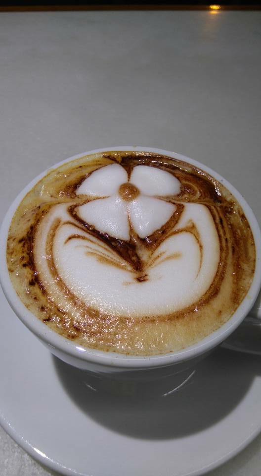 Hotel Garcas photo 8