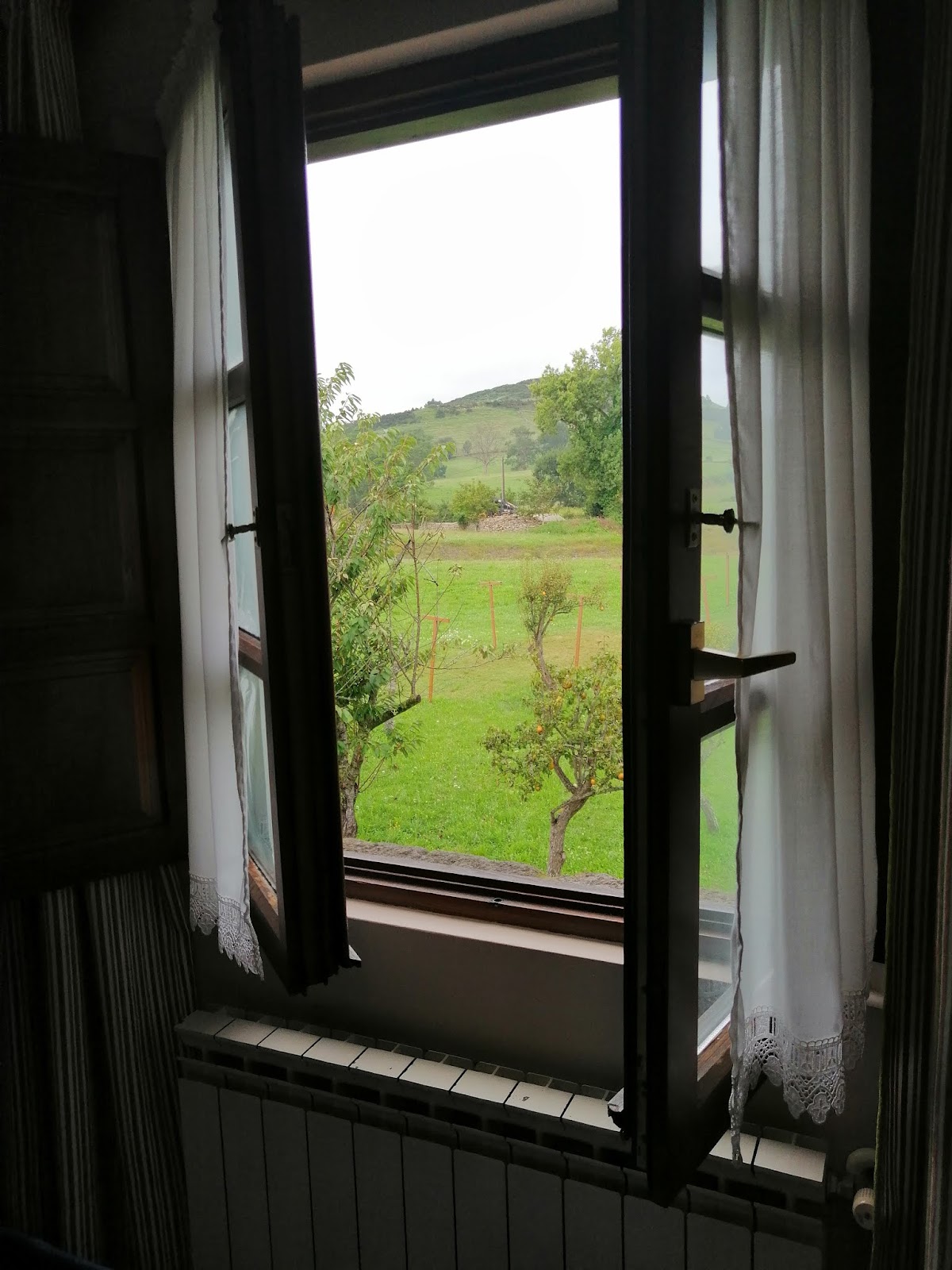 Hotel San Roque photo 5