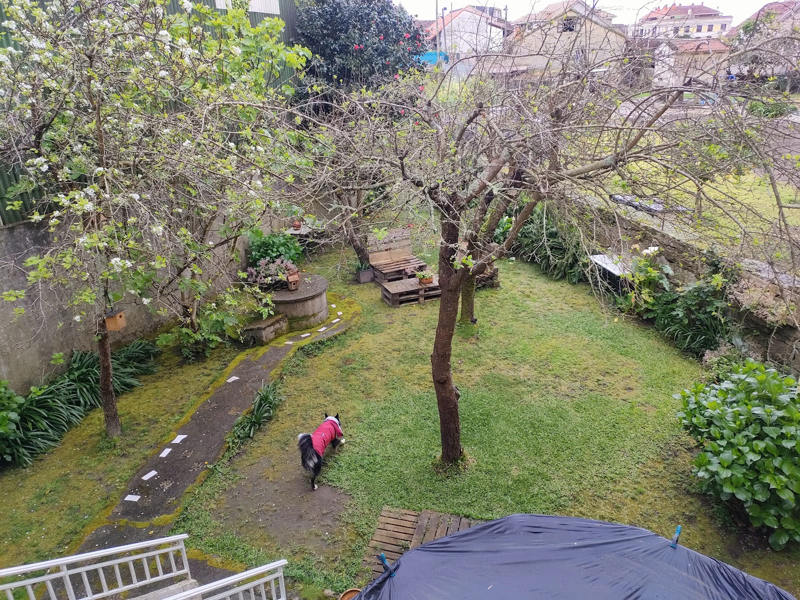 HYP — Houses by Pilar photo 4