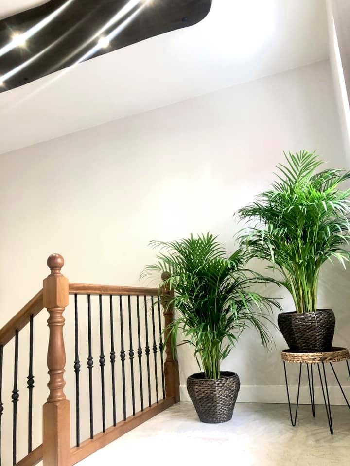 Alojamientos Valbanera photo 6