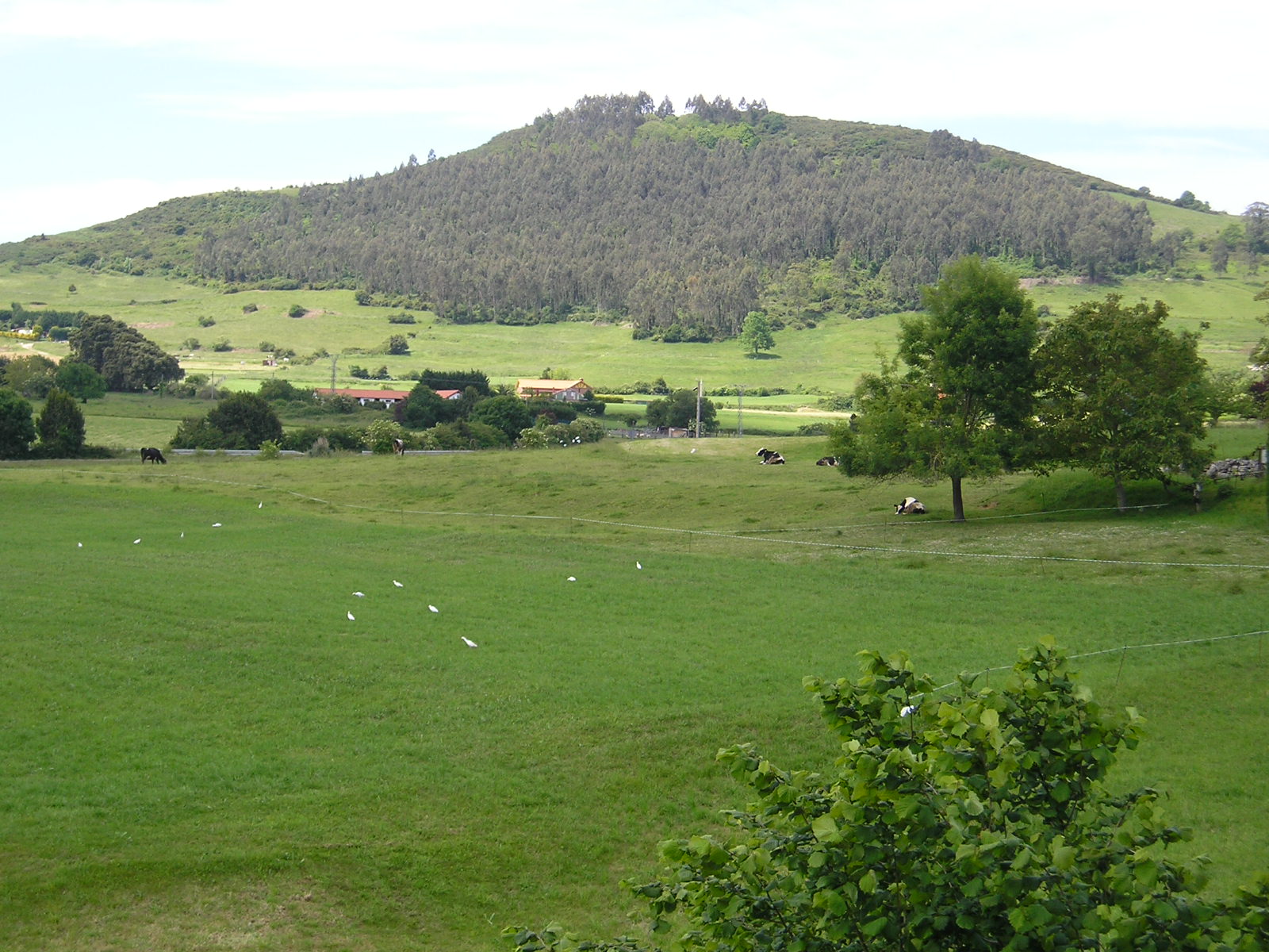POSADA GRAN SOL - Posada Rural en Cantabria photo 7