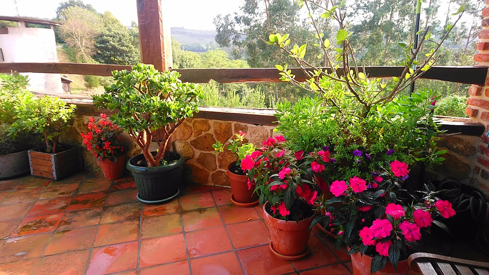 Viviendas Rurales las Fontanias photo 8