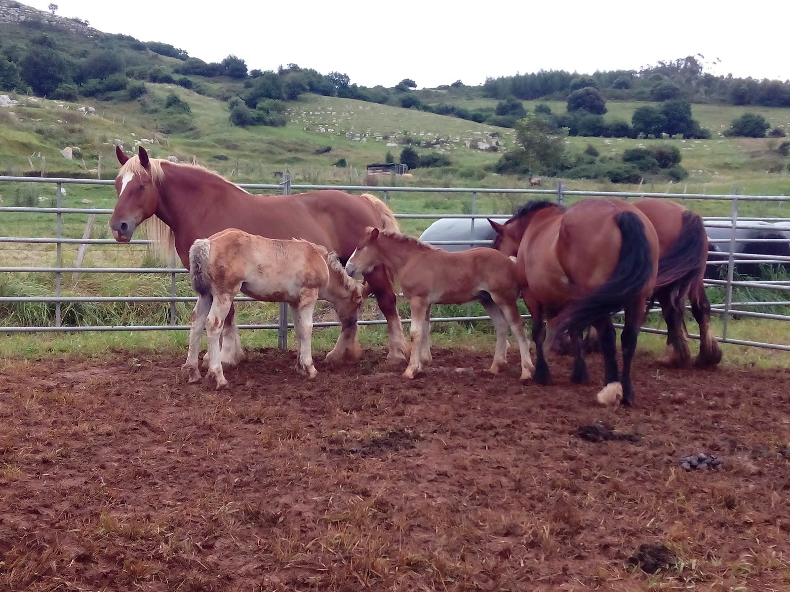 Hospedería El Cantio photo 9