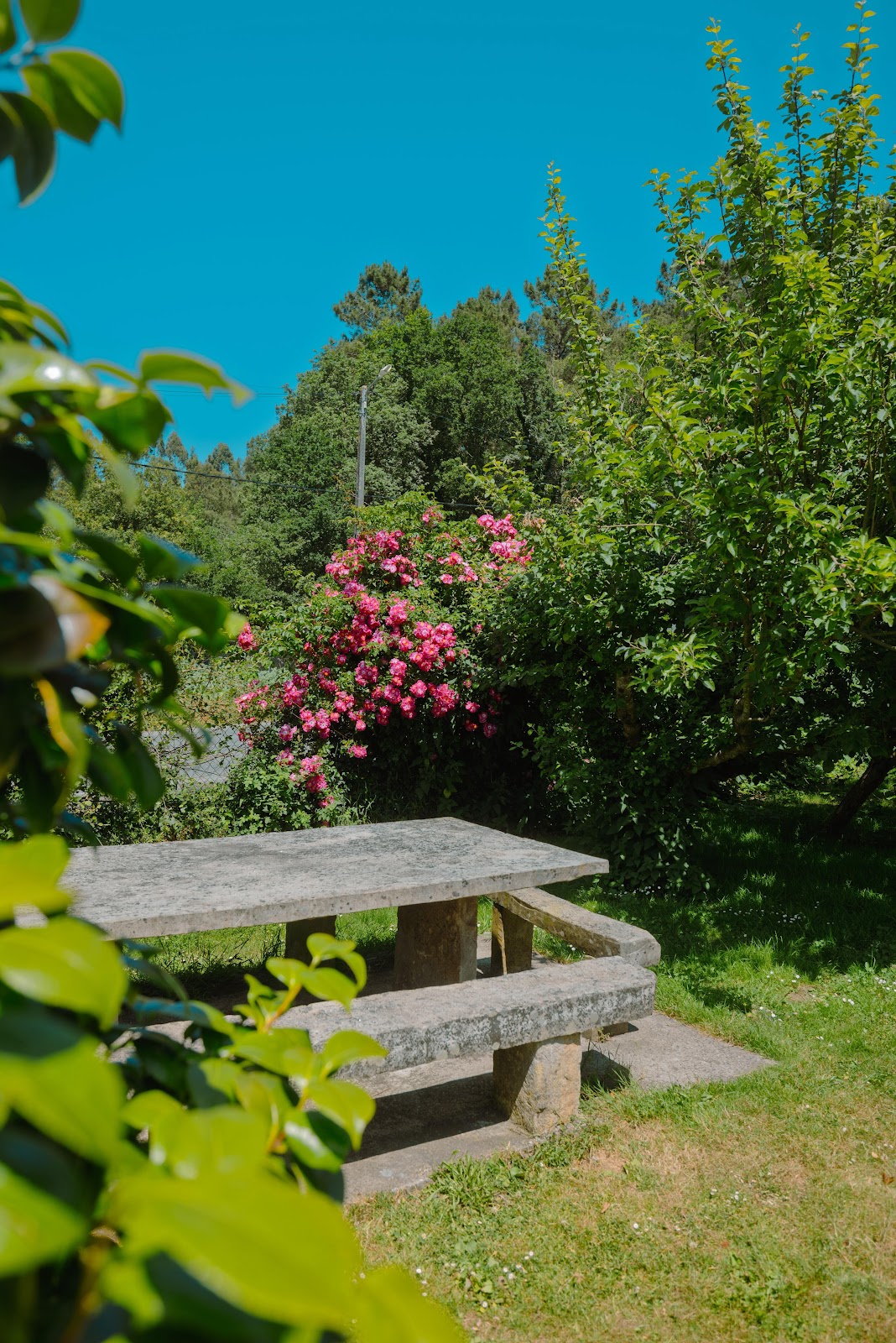 Albergue a Lagoa photo 6