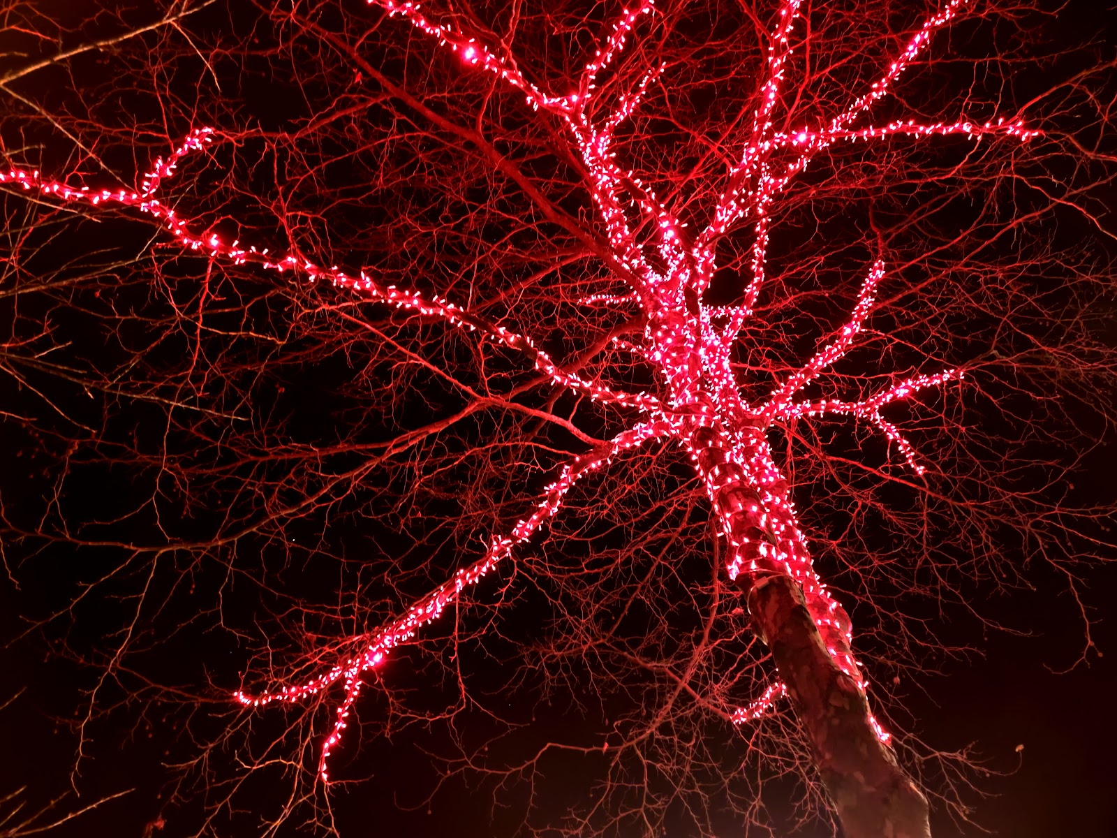 Casa del Cura photo 10