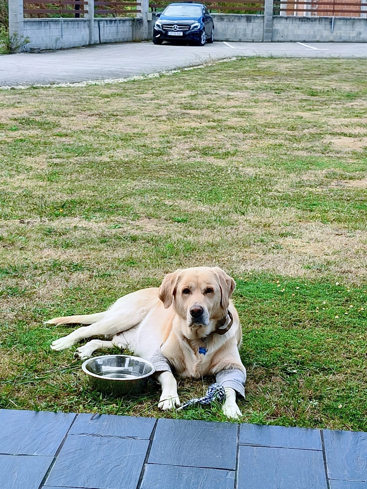 Apartamentos Rurales Camín Real photo 9