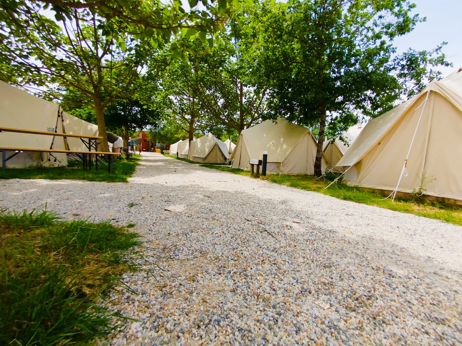 O Pedrouzo Pilgrim Camp photo 9