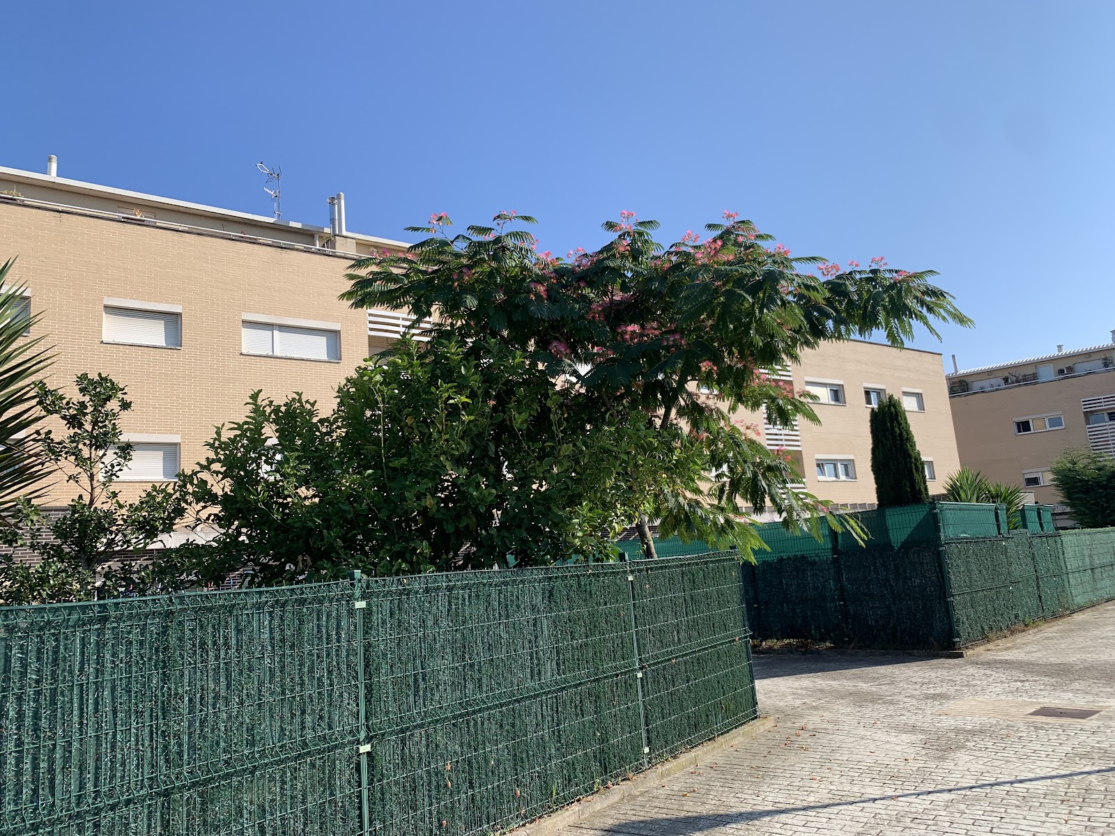 Apartamentos Olga Cantabria