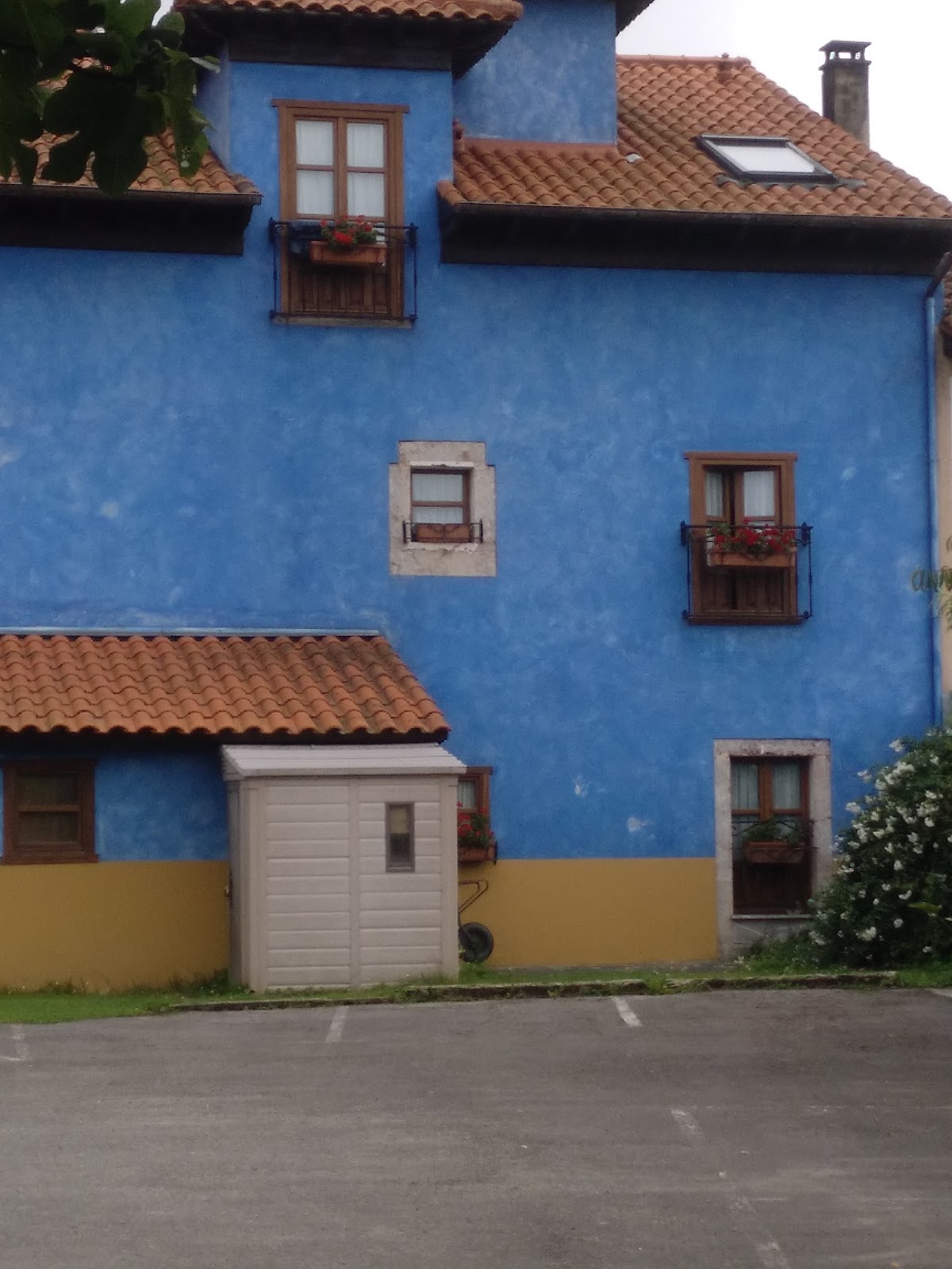 Hotel y Apartamentos Cuevas del Mar photo 4