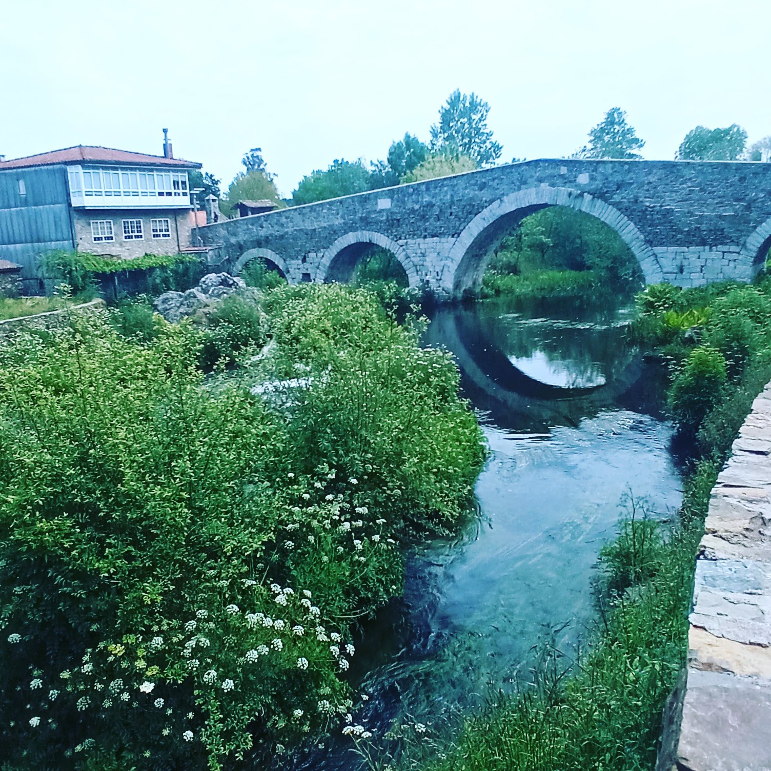 PENSIÓN ARCANO photo 3