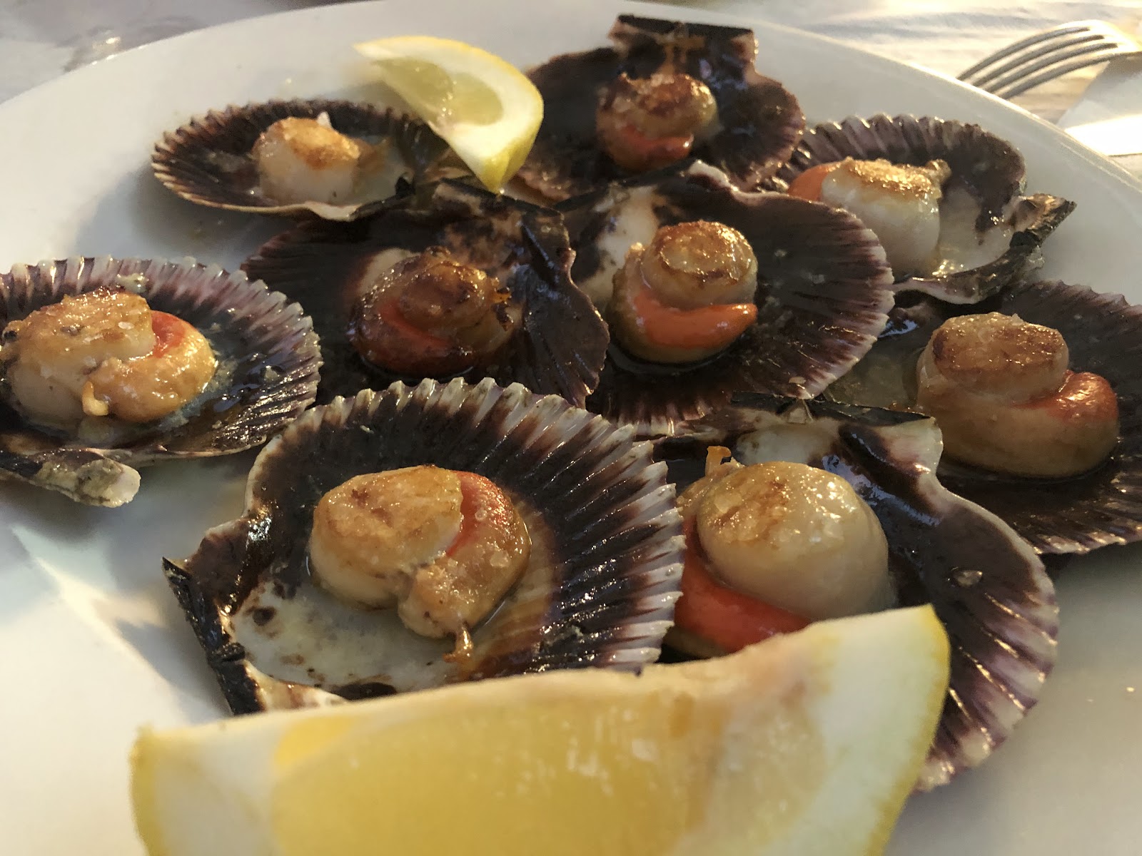 Hotel Báltico 3*** photo 9