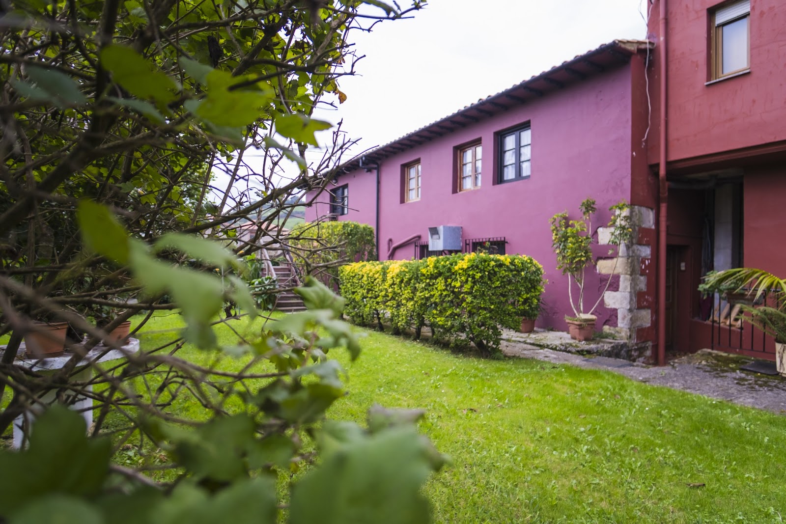 Hotel Puerto Calderon photo 4