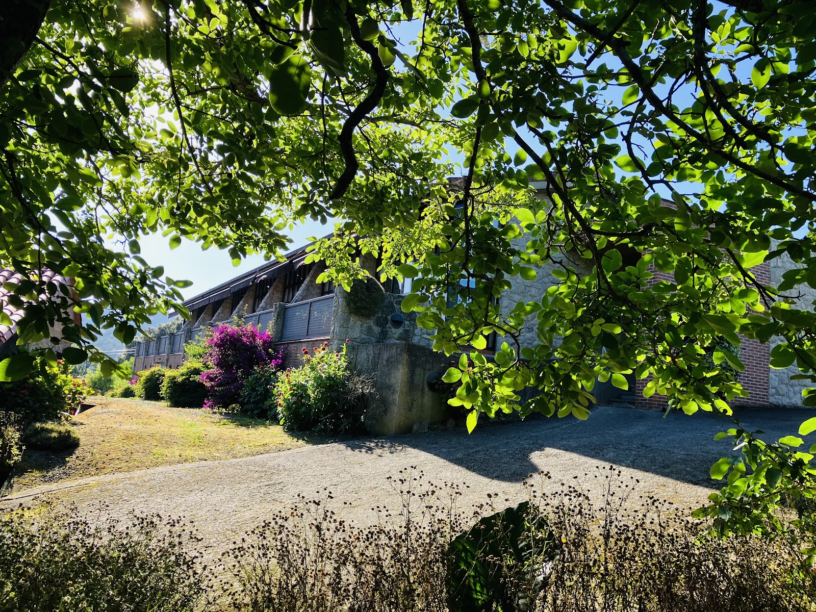 Finca los Venancios photo 4