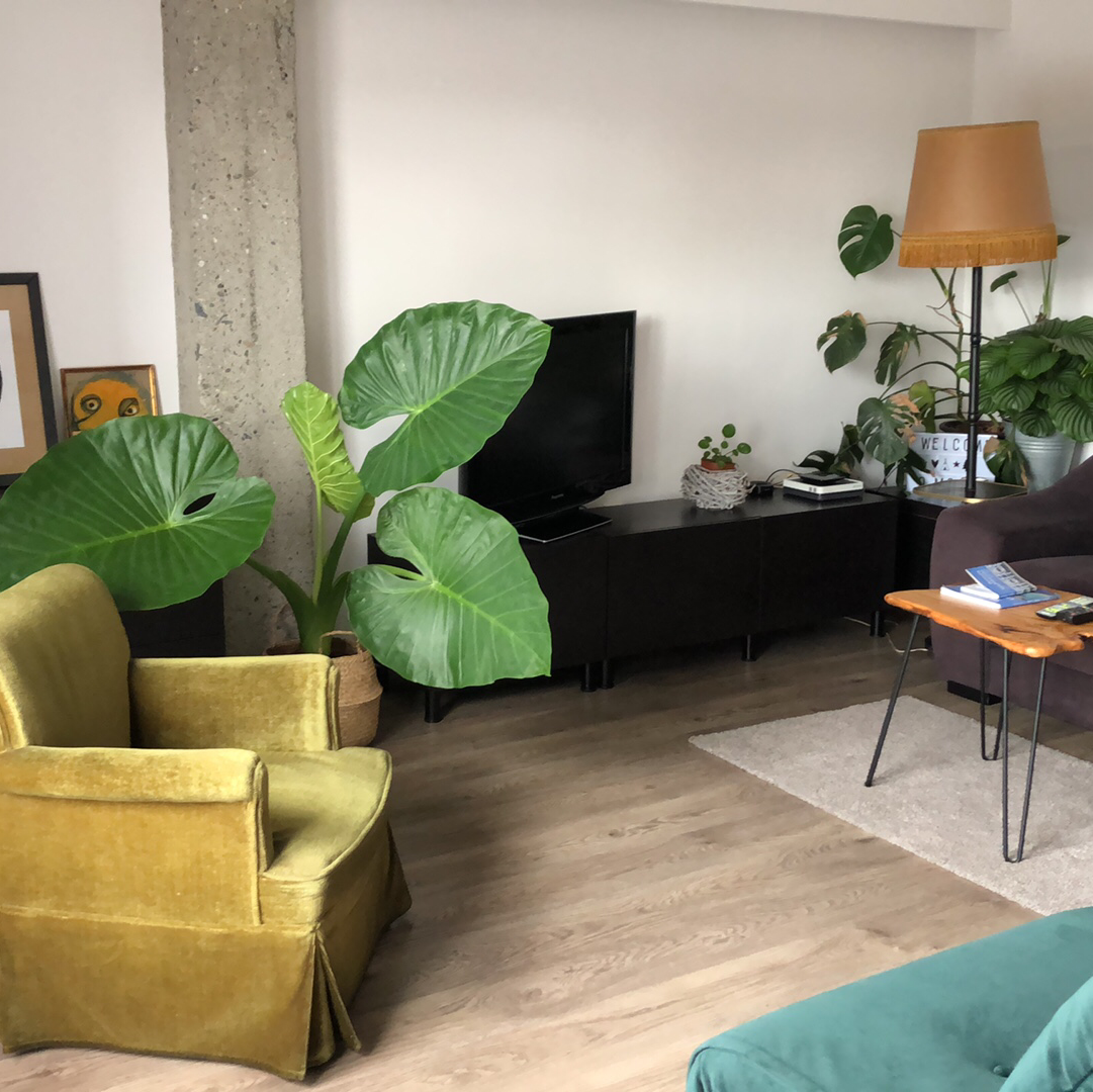 Apartamento Egia photo 9