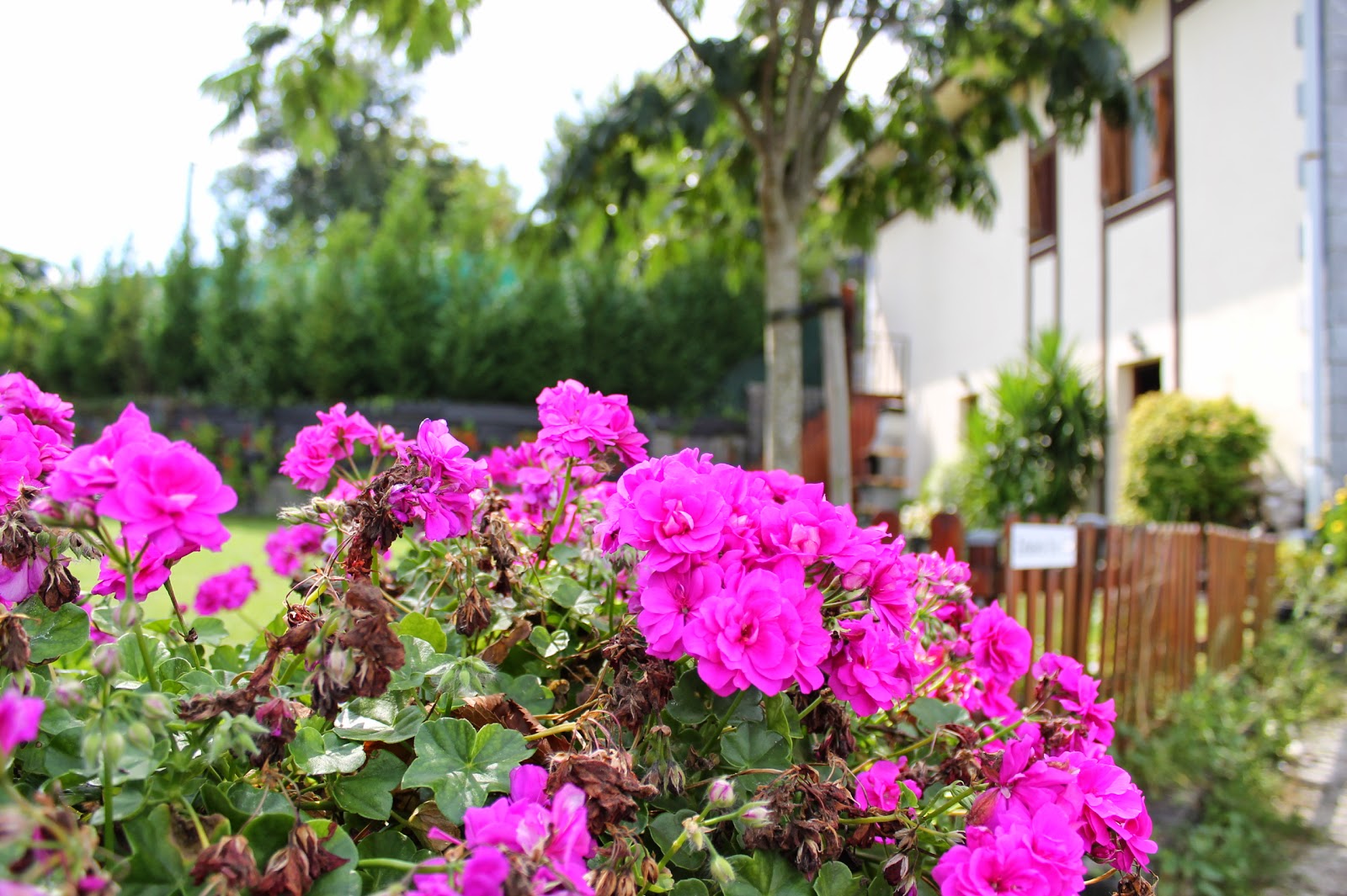 Zelaieta BerriBi Landetxea photo 9