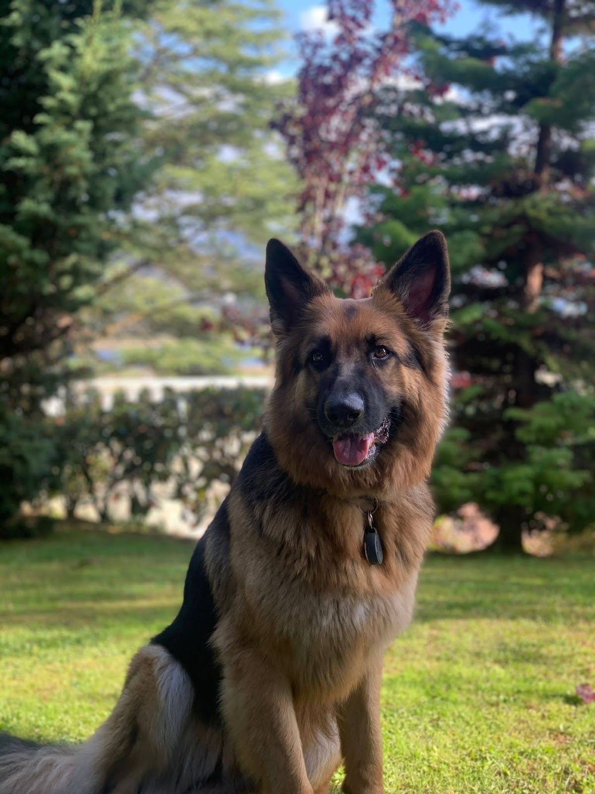 The Berdial COTTAGE IN ASTURIAS photo 5