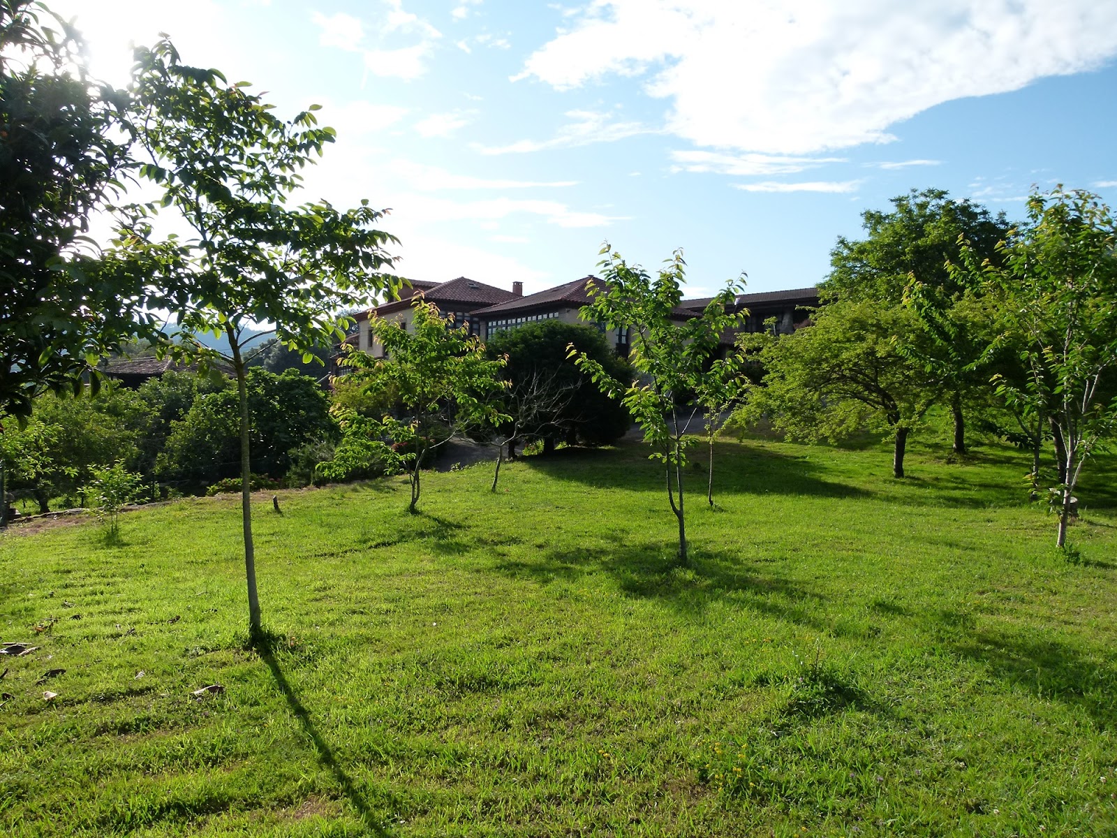 Finca los Venancios photo 3