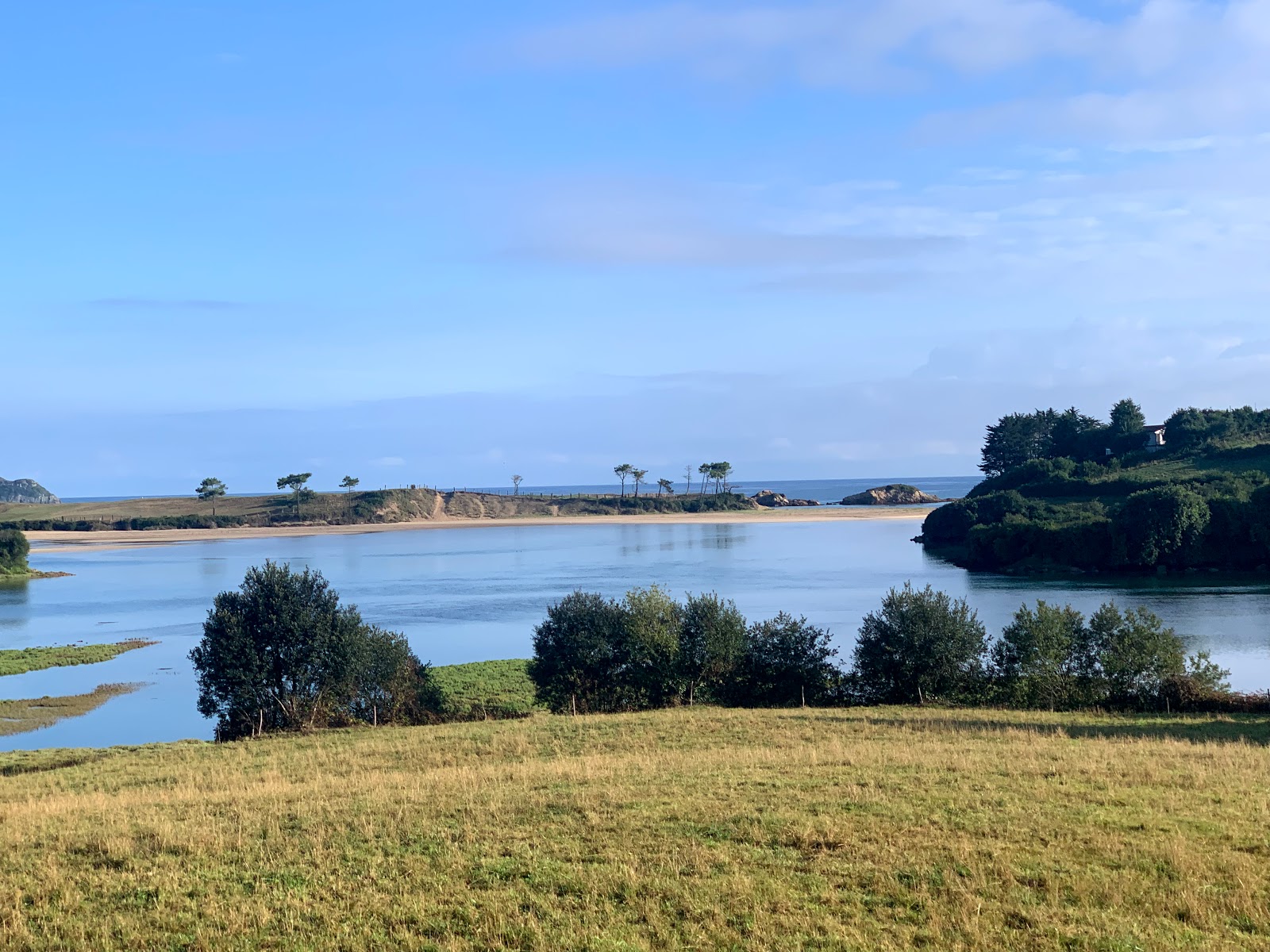 La Casa de las Flores Comillas photo 7