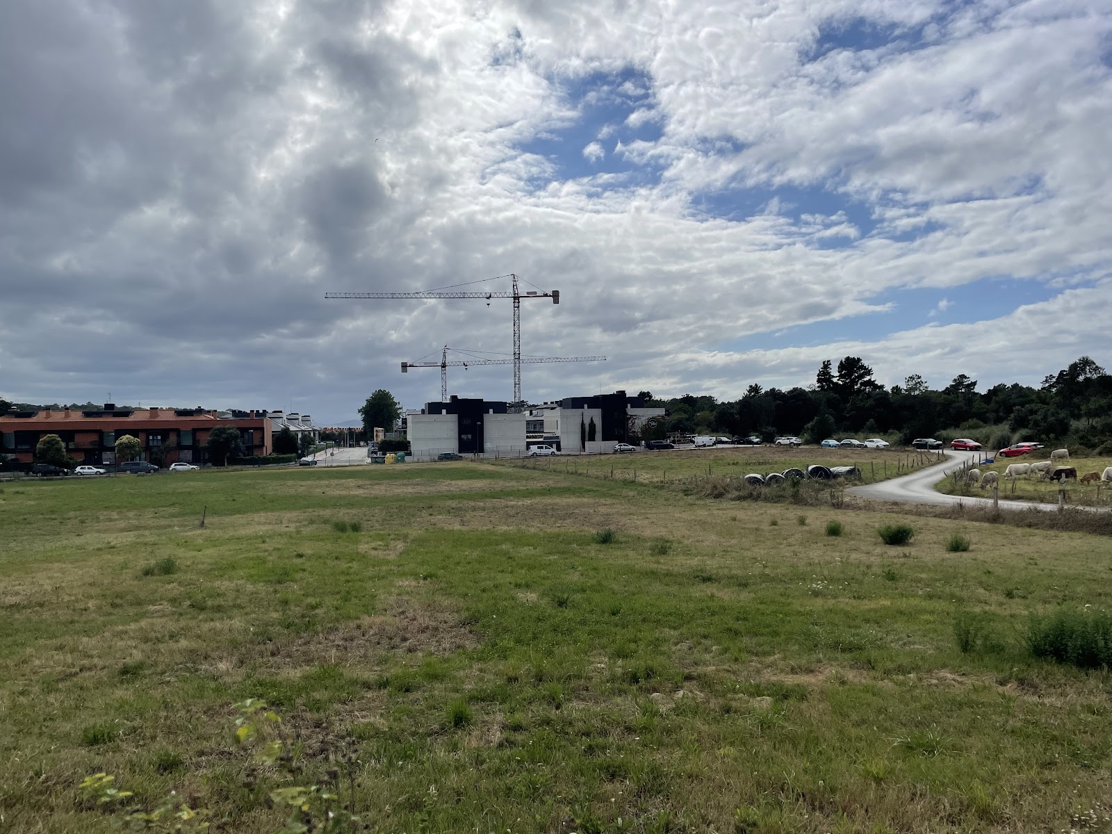 Hotel Alemar photo 7