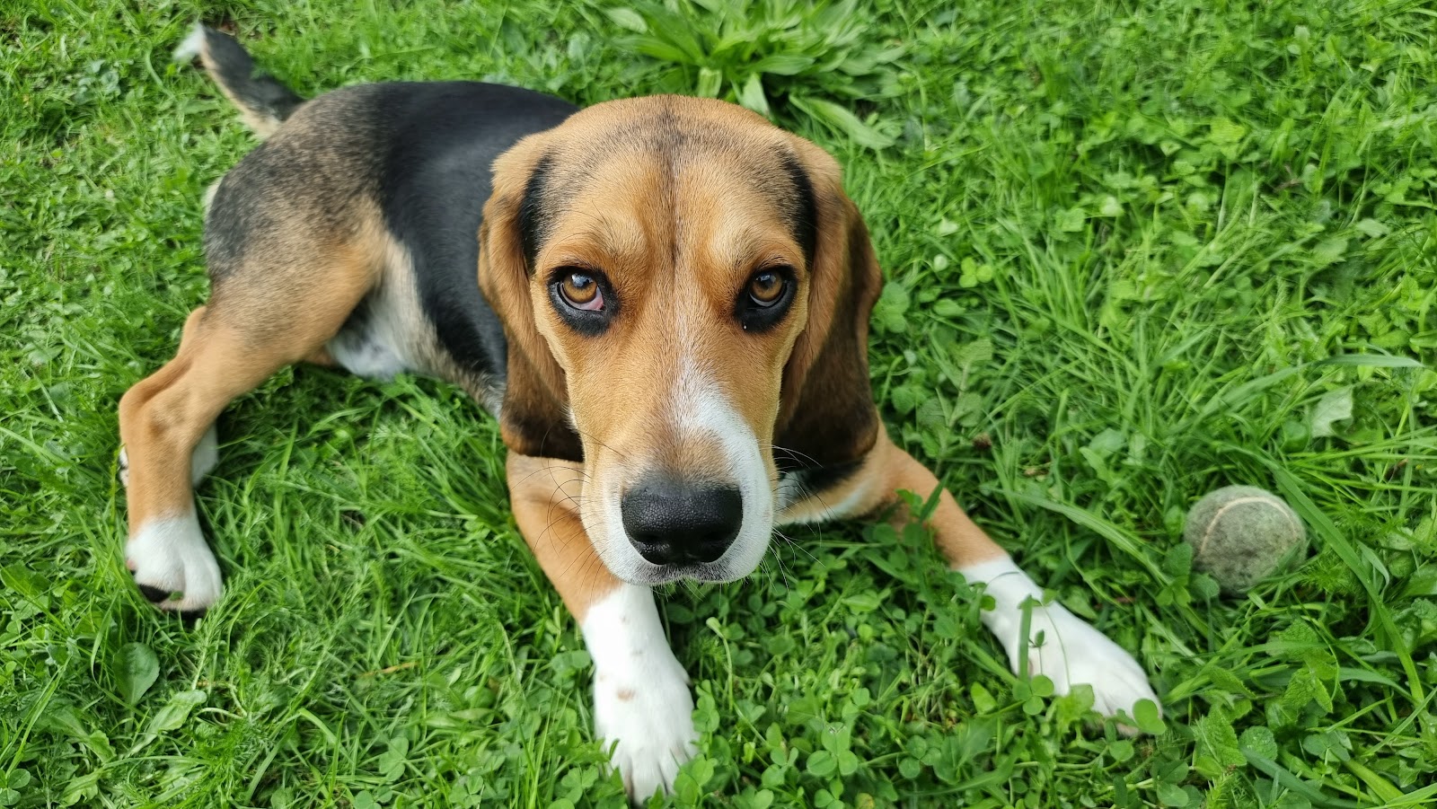 Albergue Privado SantaIrene photo 10