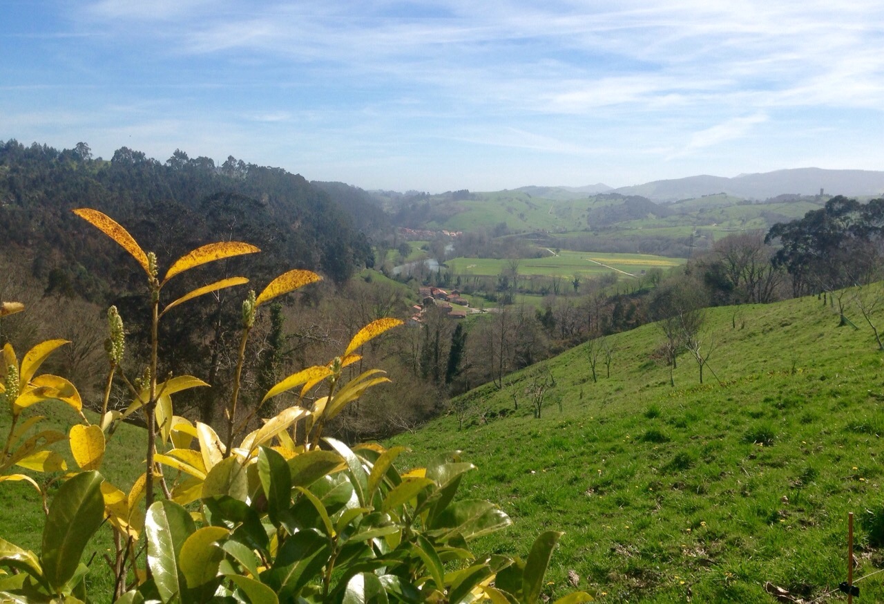 La Casuca del Esbardu photo 9