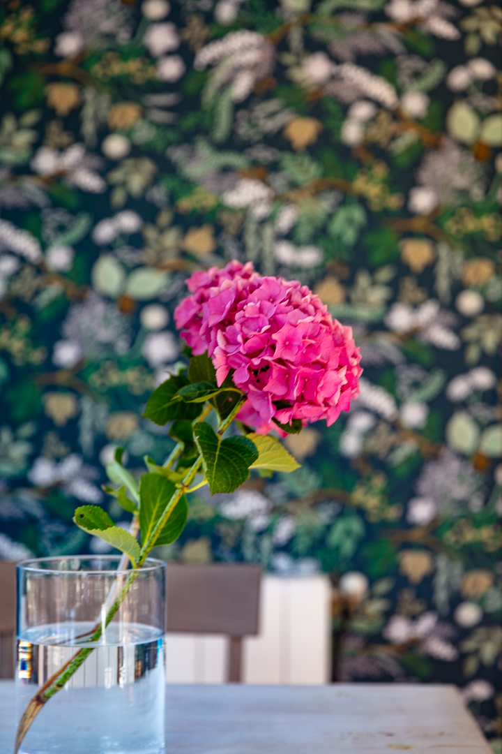 Hotel boutique La Casona De Nueva photo 7