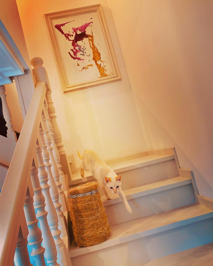 Finca "EL MIRUÉNDANO" photo 9