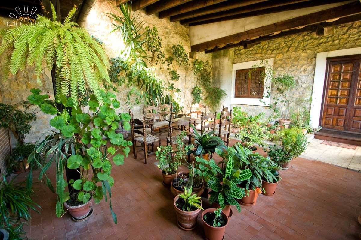 Pensión Hospedaje Casa Octavio photo 3