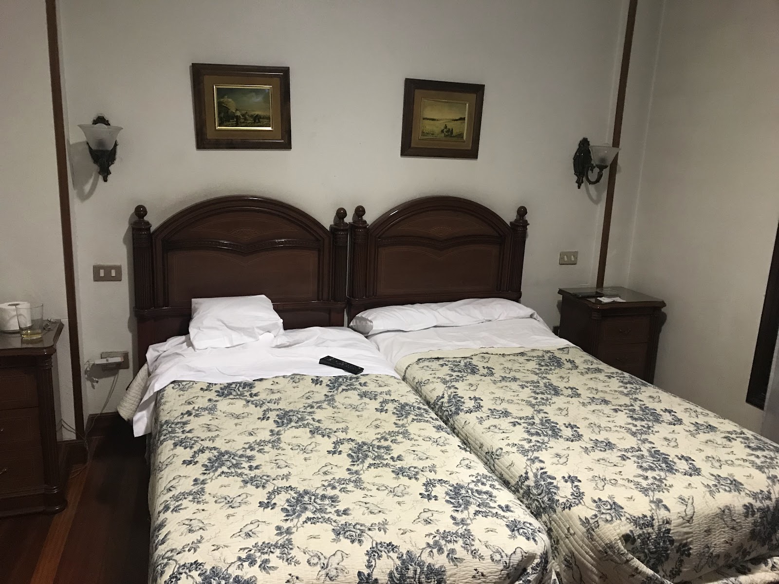 Arriaga hotela photo 5