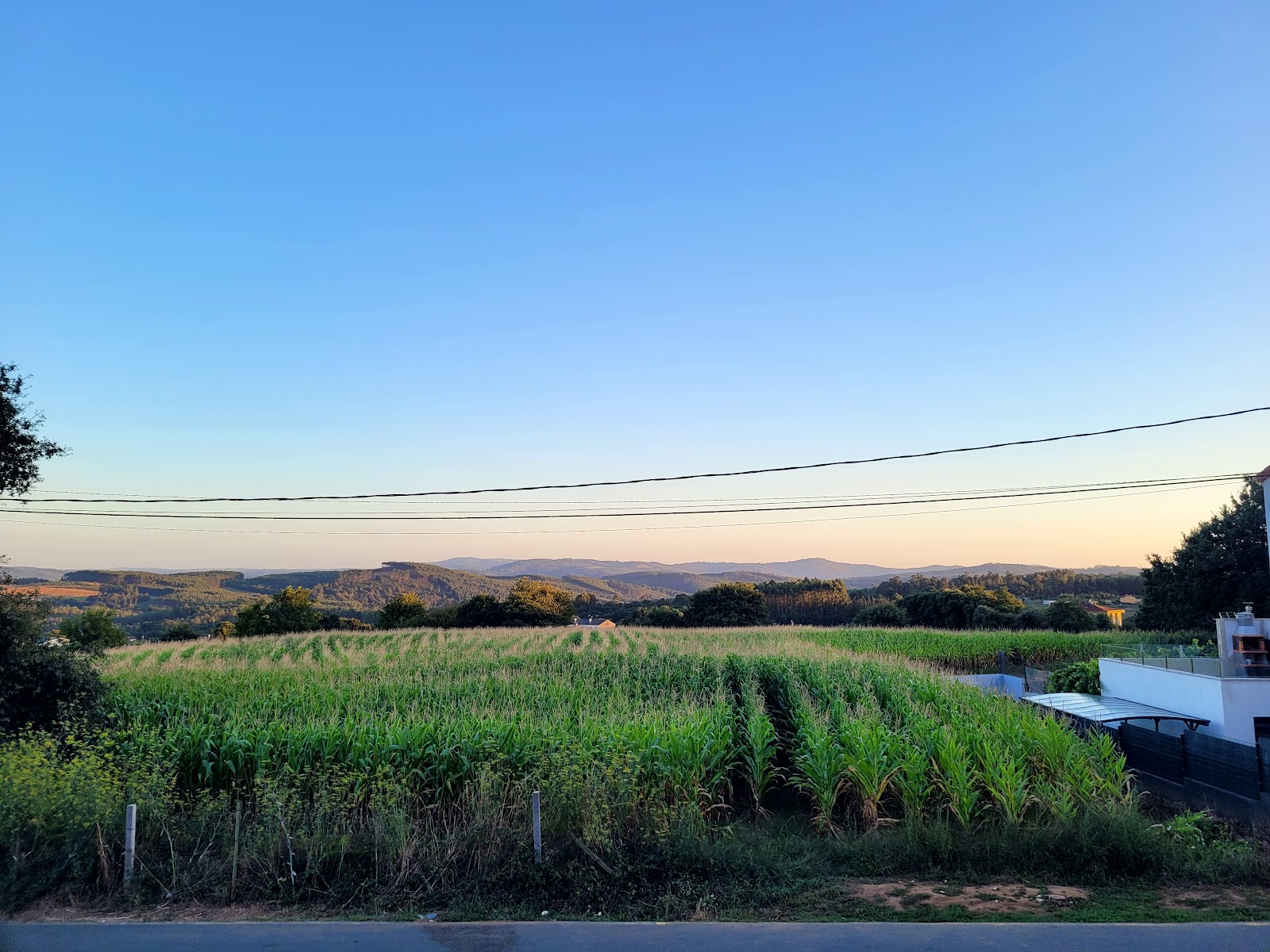 De Camino Albergue photo 7