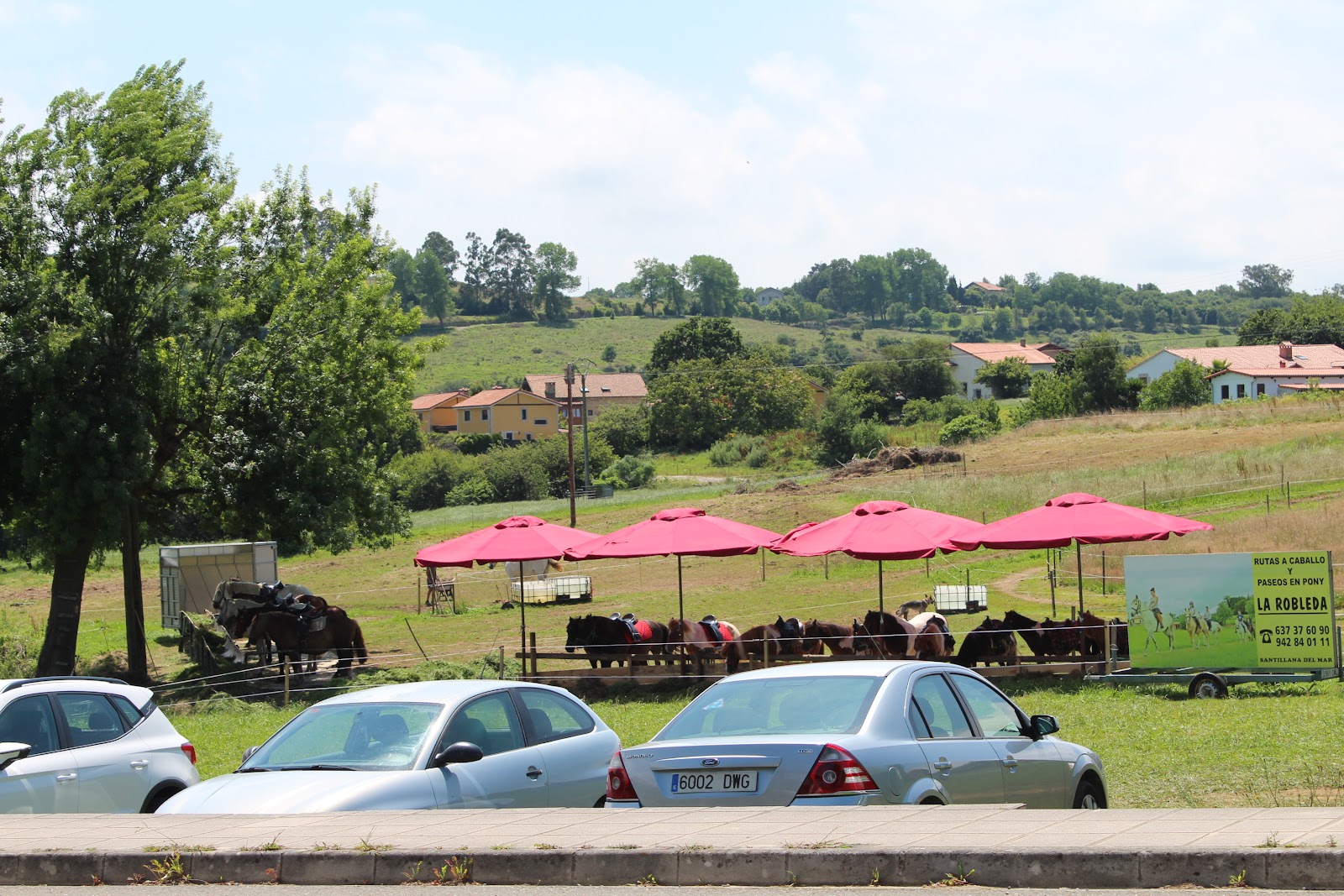 Apartments Los Hidalgos photo 10
