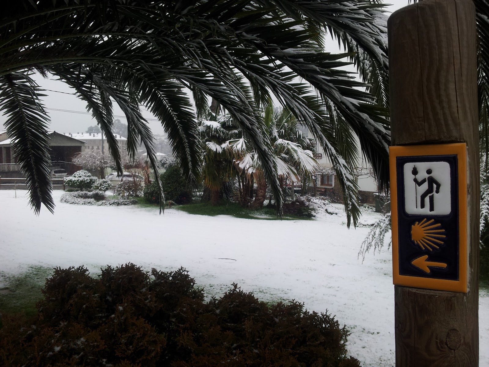 Pensión Residencia Casa Gloria photo 10