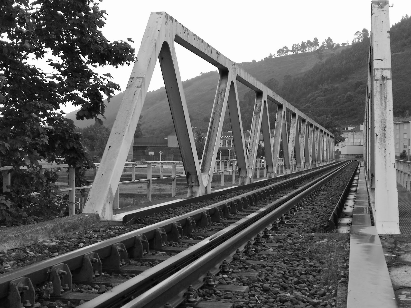 La Trufa Roja photo 10