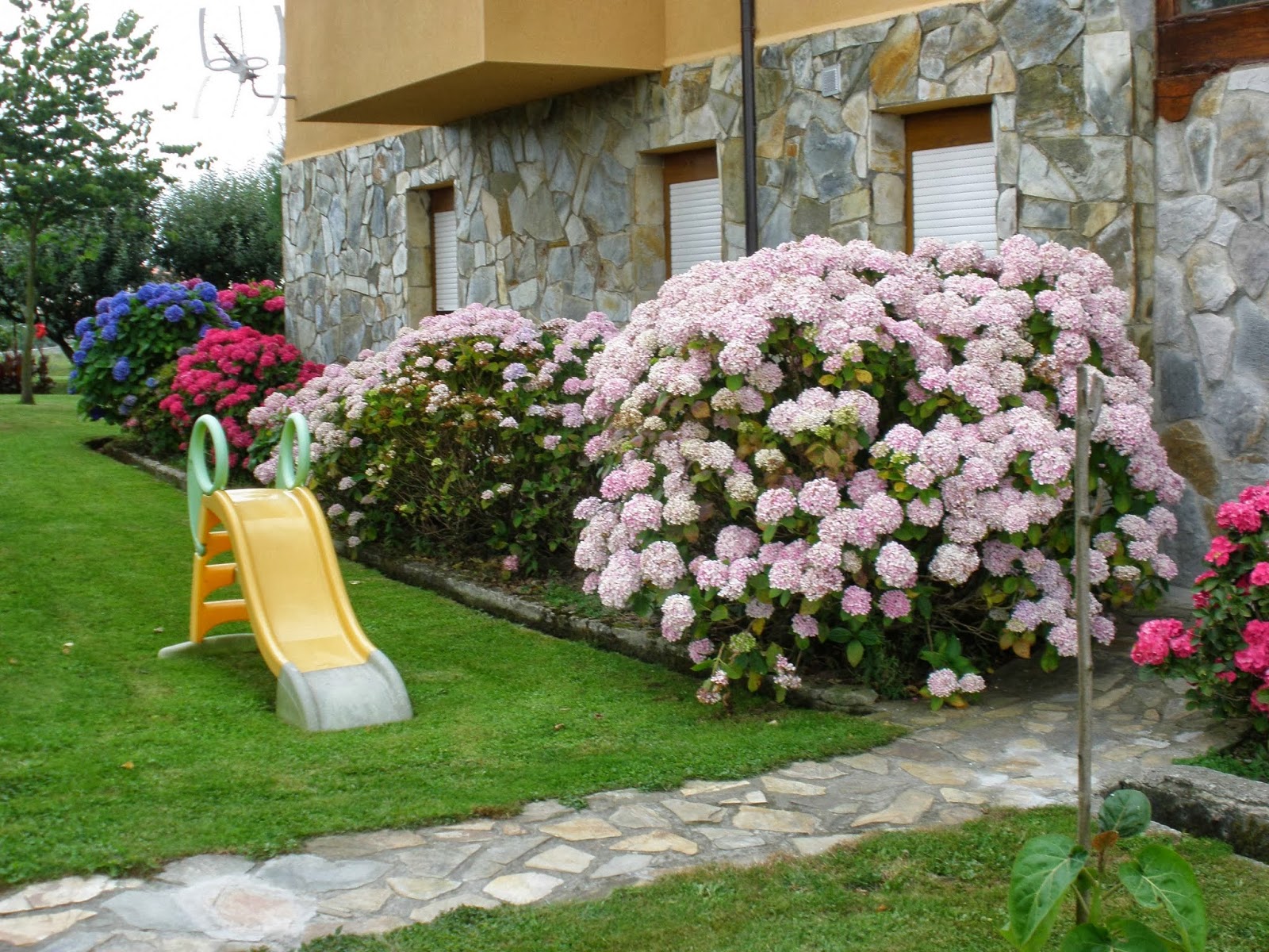 Hostería El Faro photo 3