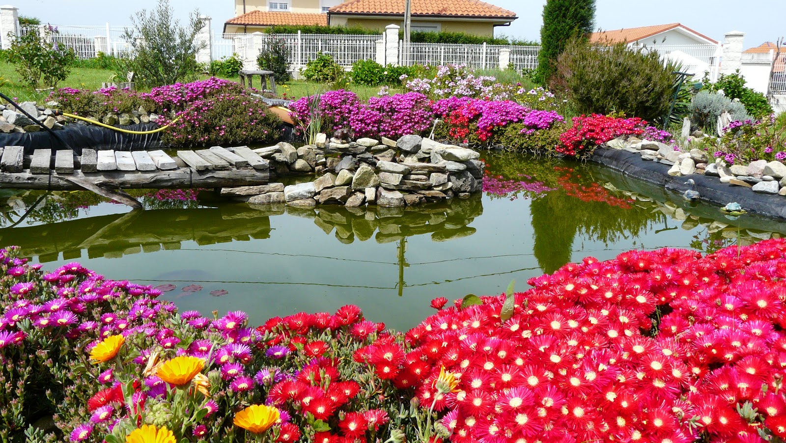 Villa Vacacional Betania photo 8