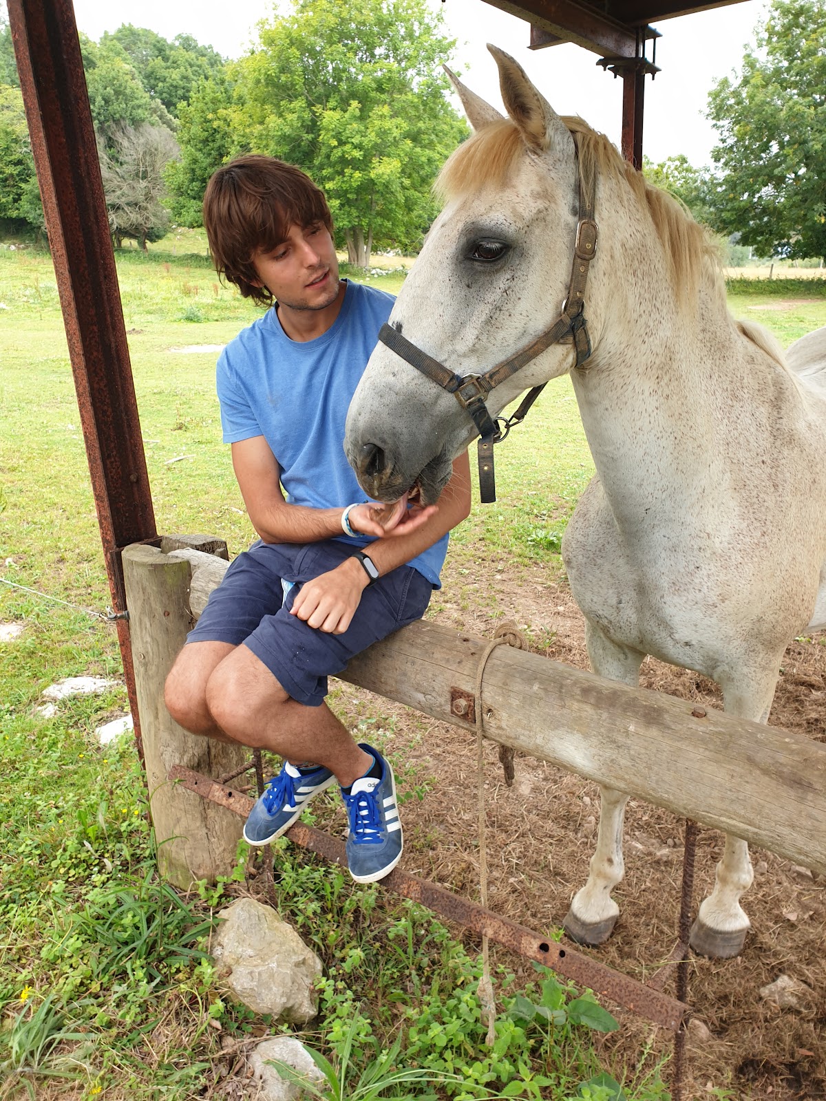 Aldea del Trasgu photo 8