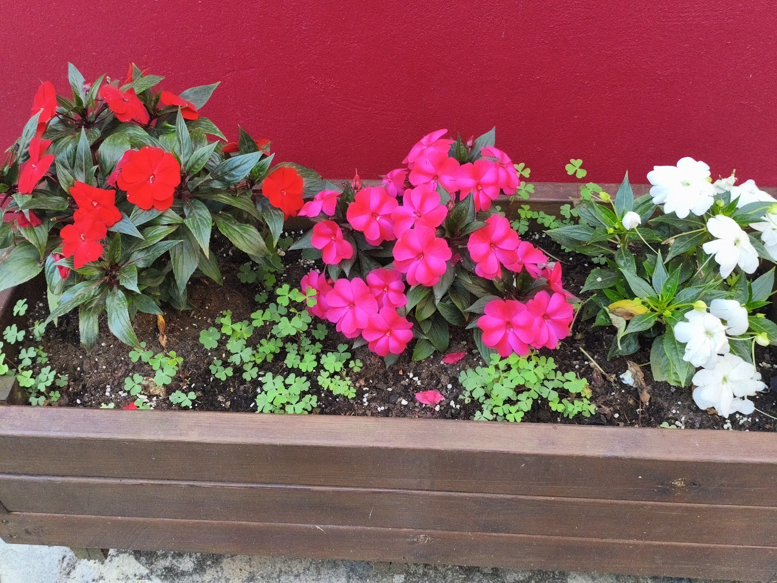 La Trufa Roja photo 8