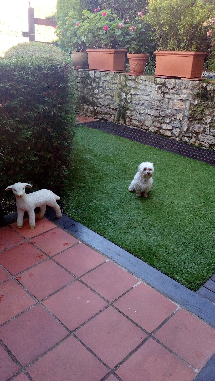 Vivienda Vacacional La Ería de Colombres photo 7