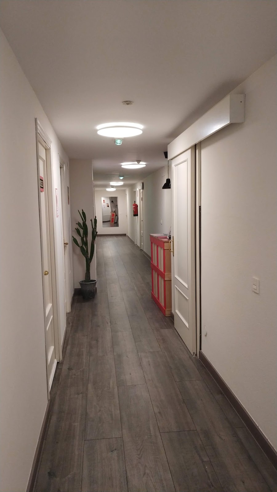 Life Magenta photo 10