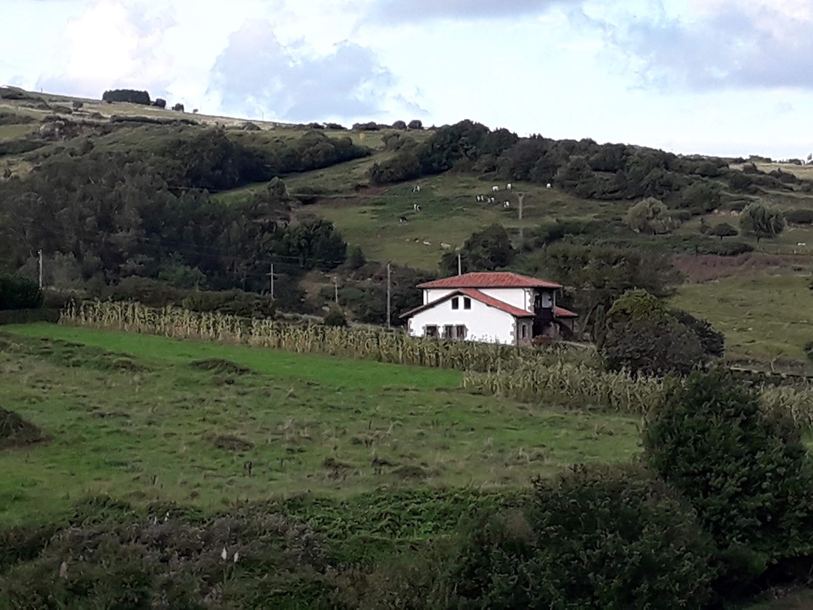 Posada Los Calderones photo 3