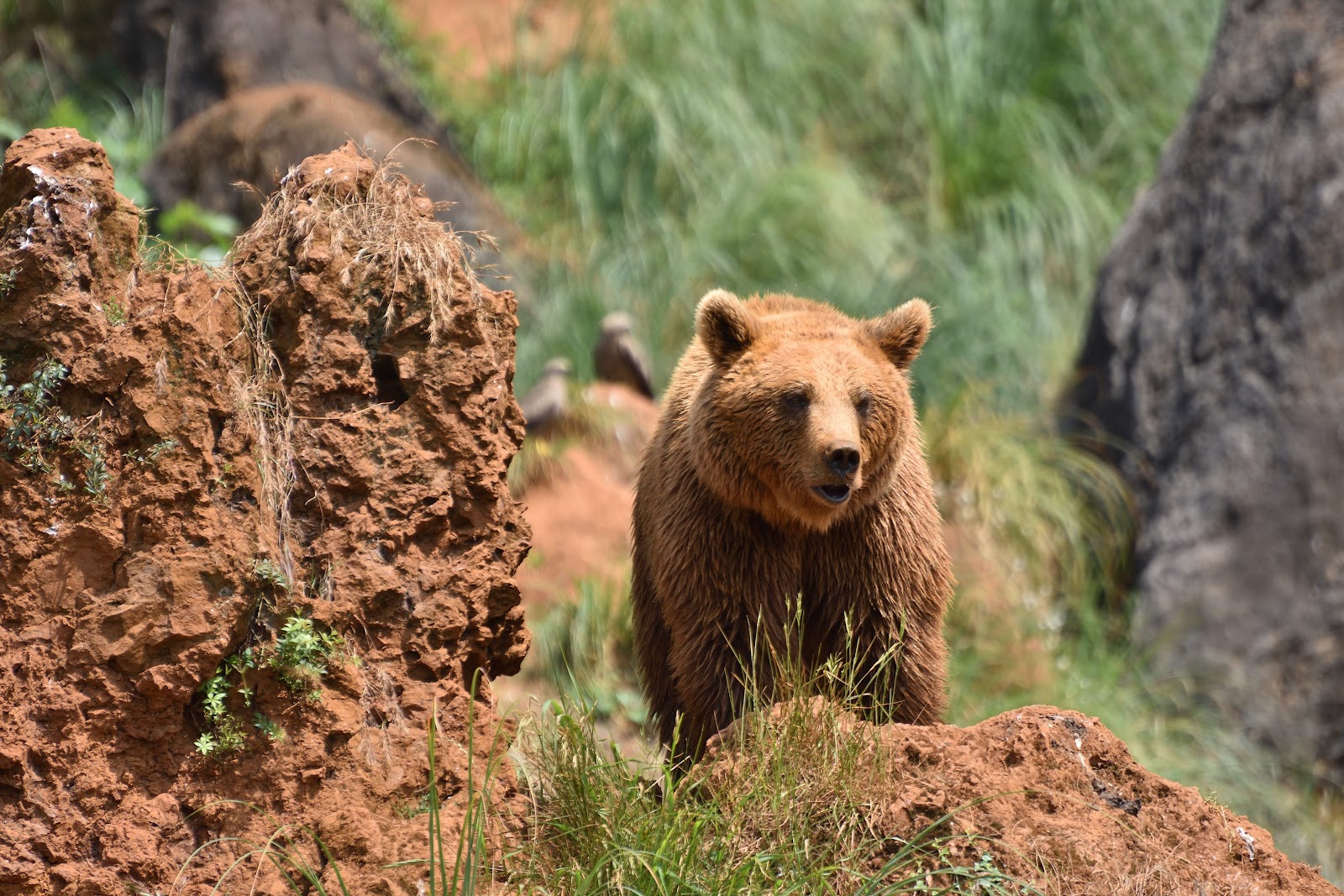 Pensión Codesal photo 9