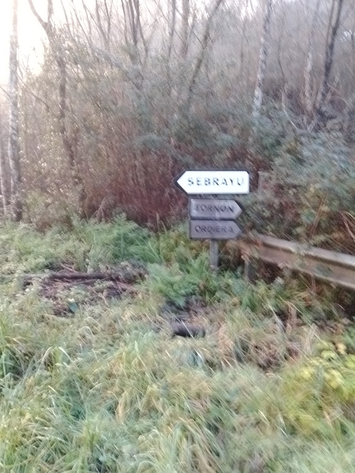 Albergue peregrinos photo 4