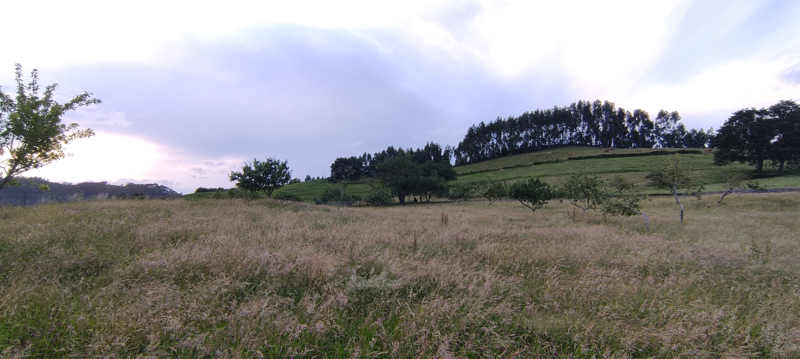 Finca los Venancios photo 7