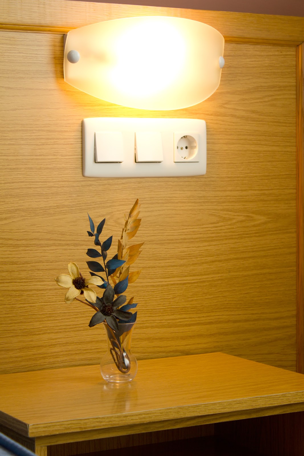 Pension Rua photo 10