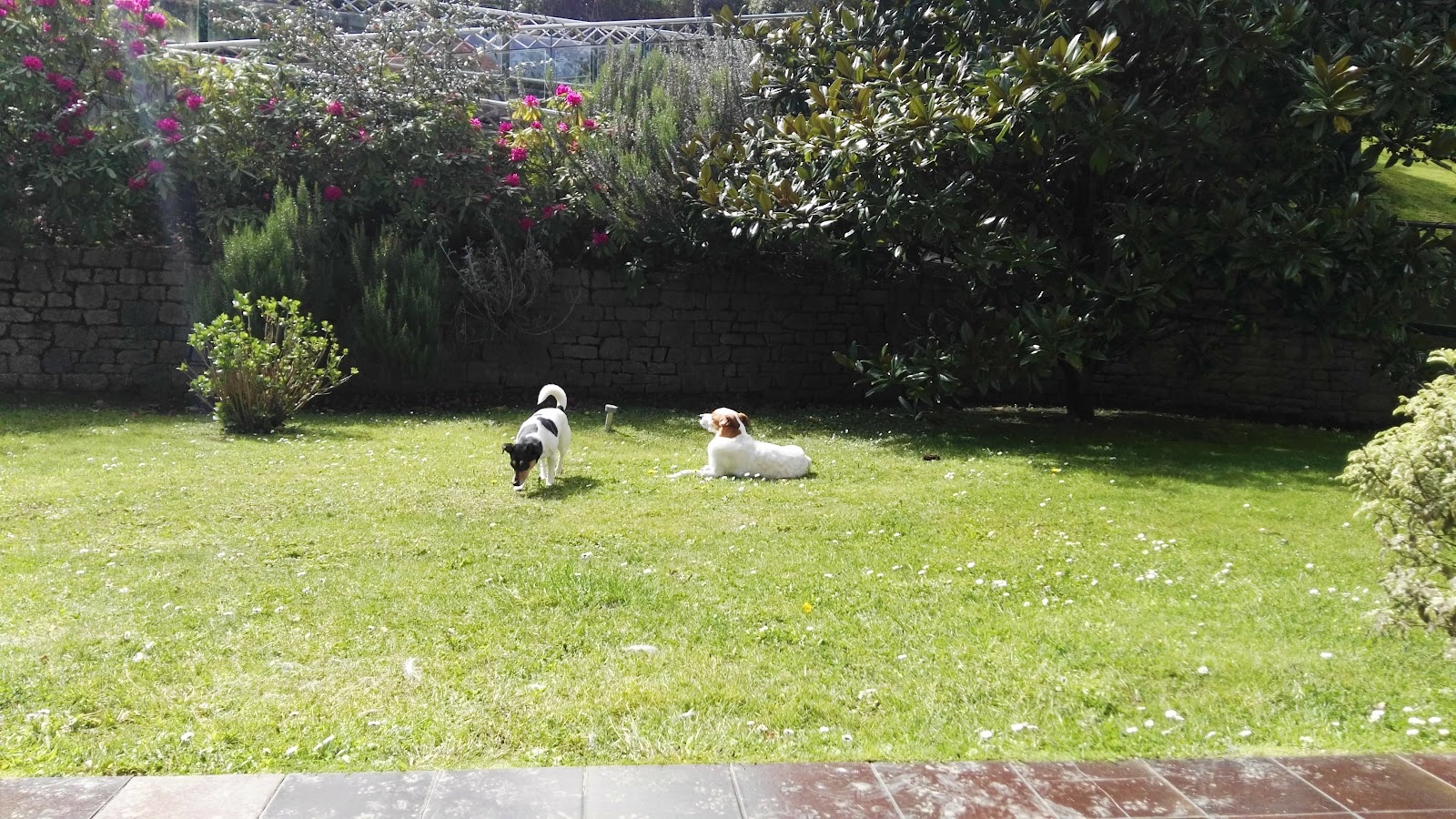 Apartamentos Mazuga Rural photo 8